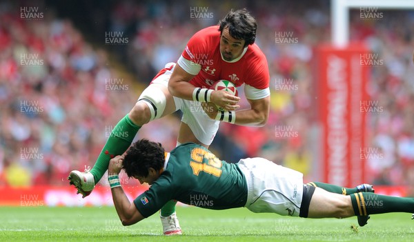 050610 - Wales v South Africa - Principality Building Society Summer Test - Jonathan Thomas of Wales