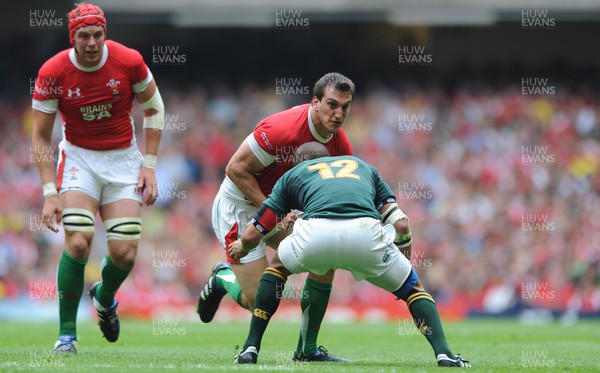 050610 - Wales v South Africa - Principality Building Society Summer Test - Sam Warburton of Wales