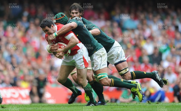 050610 - Wales v South Africa - Principality Building Society Summer Test - Stephen Jones of Wales