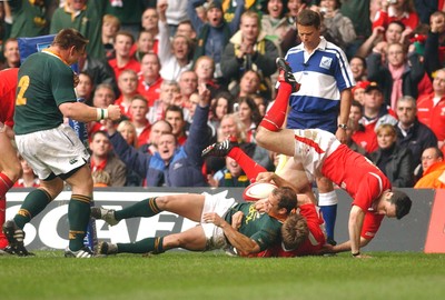 Wales v South Africa 061104