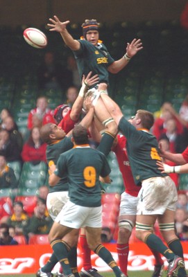 6-11-04. Wales v South Africa. Autumn International.  Springboks' Juan Smith gets lineout ball away.  