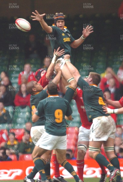 6-11-04. Wales v South Africa. Autumn International.  Springboks' Juan Smith gets lineout ball away.  