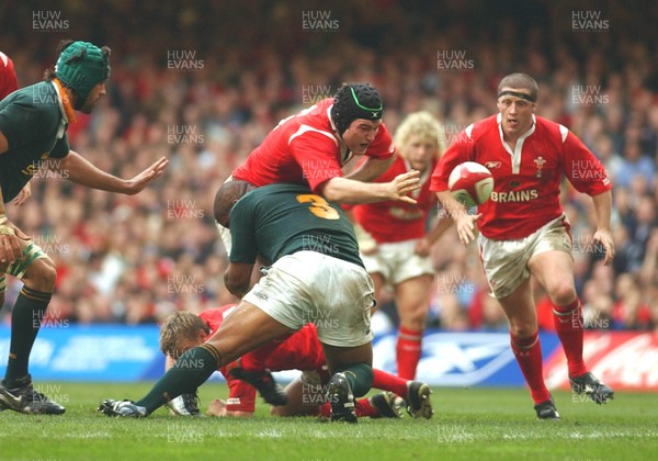 06.11.04 Wales v S.Africa,Cardiff  Wales Michael Owen loses ball in tackle by Eddie Andrews  Huw Evans,Cardiff