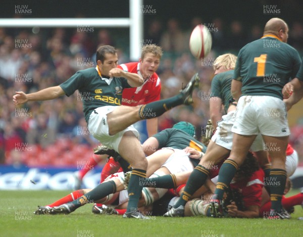 6-11-04. Wales v South Africa. Autumn International.  Springboks' Fourie De Preez gets ball away.  