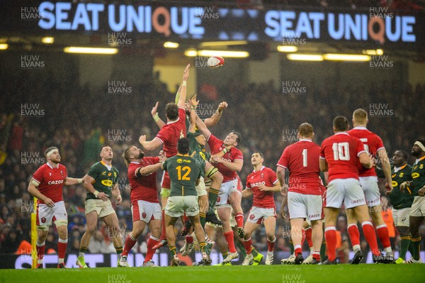 061121 - Wales v South Africa - Autumn Nations Series - 