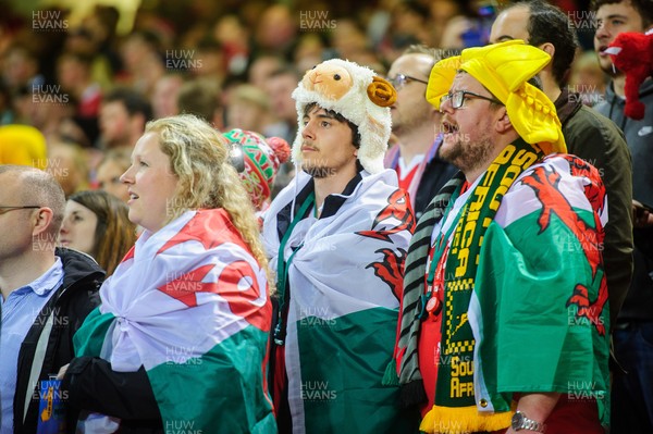 061121 - Wales v South Africa - Autumn Nations Series - Fans