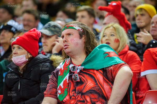 061121 - Wales v South Africa - Autumn Nations Series - Fans