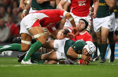 Wales v South Africa 081108