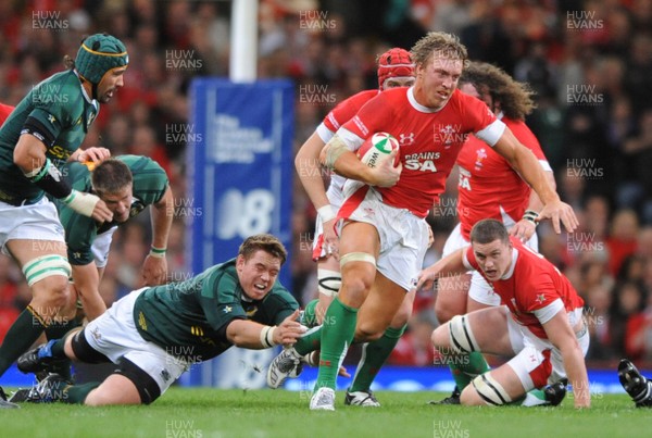 08.11.08 - Wales v South Africa - Invesco Perpetual Series 2008 - Wales' Andy Powell beats John Smit. 