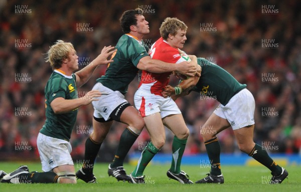 08.11.08 - Wales v South Africa - Invesco Perpetual Series 2008 - Wales' Dwyane Peel is held by the South African defence. 