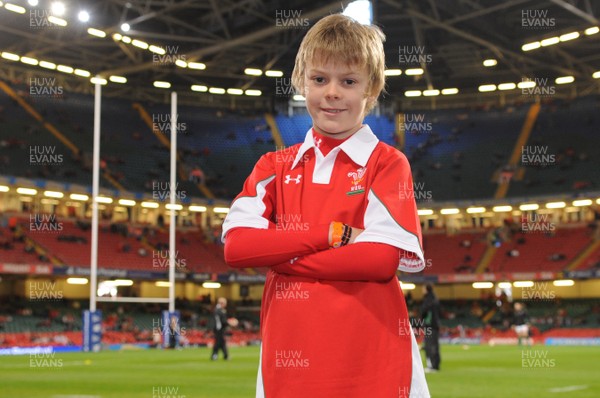 08.11.08 - Wales v South Africa - Invesco Perpetual Series 2008 - Mascot Morgan Humphreys 