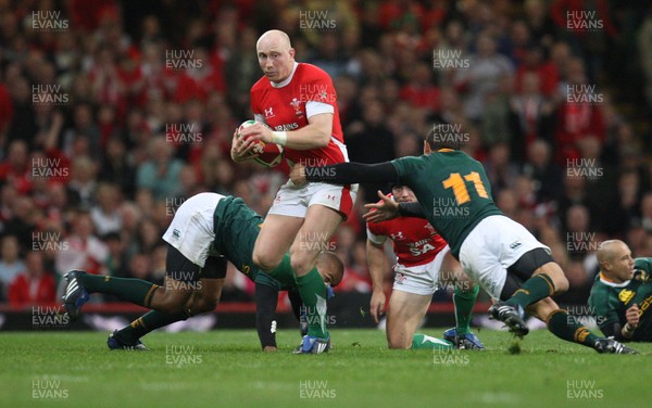 08.11.08 ... Wales v South Africa, Invesco Perpetual Series 2008- Wales' Tom Shanklin takes on South Africa's Bryan Habana 