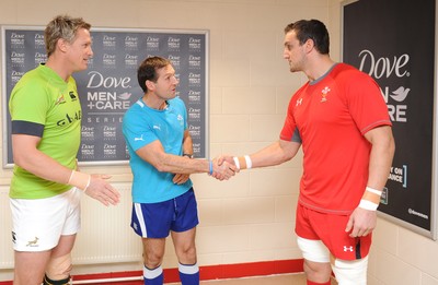 Wales v South Africa 091113