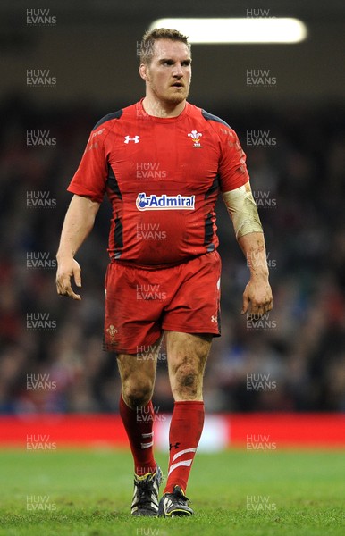 091113 - Wales v South Africa - Dove Men+Care Series -Gethin Jenkins