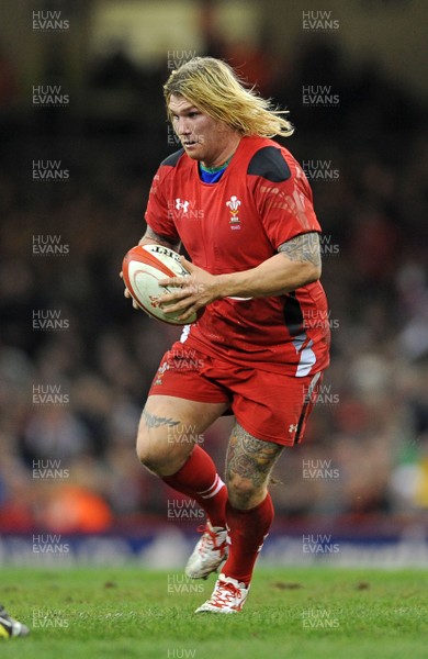 091113 - Wales v South Africa - Dove Men+Care Series -Richard Hibbard