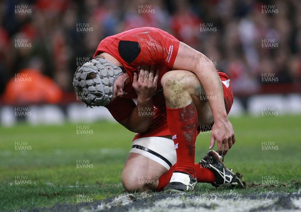 091113 - Wales v South Africa - Dove Men+Care Series - Wales' Jonathan Davies is injured before leaving the field