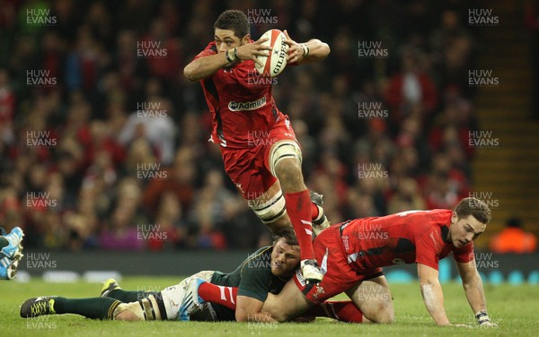 091113 - Wales v South Africa, Dove Mens Autumn Series - Wales' Toby Faletau breaks away