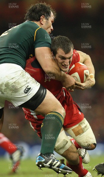 091113 - Wales v South Africa, Dove Mens Autumn Series - Wales' Sam Warburton is held by South Africa's Bismarck du Plessis