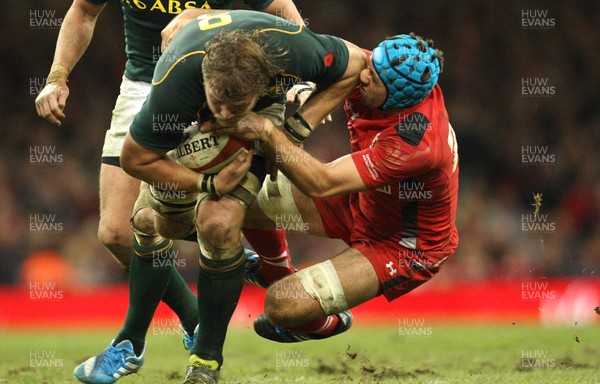 091113 - Wales v South Africa, Dove Mens Autumn Series - South Africa's Duane Vermeulen is held by Wales' Justin Tipuric