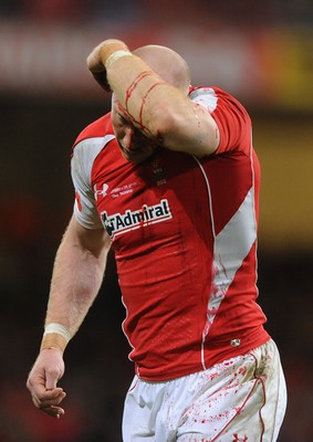 13.11.10 - Wales v South Africa - Invesco Perpetual Series 2010 - Tom Shanklin of Wales leaves the field with a cut. 