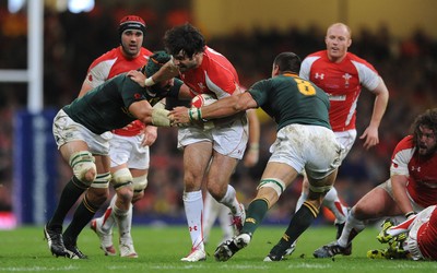 13.11.10 - Wales v South Africa - Invesco Perpetual Series 2010 - Mike Phillips of Wales is tackled by Victor Matfield and Pierre Spies of South Africa. 