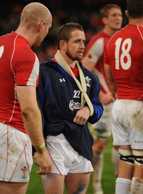 13.11.10 - Wales v South Africa - Invesco Perpetual Series 2010 - Shane Williams of Wales with his arm in a sling looks dejected at the end of the game. 