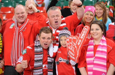 13.11.10 - Wales v South Africa - Invesco Perpetual Series 2010 - Wales fans. 