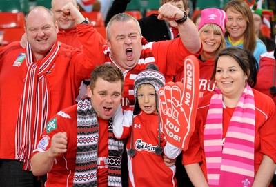 13.11.10 - Wales v South Africa - Invesco Perpetual Series 2010 - Wales fans. 