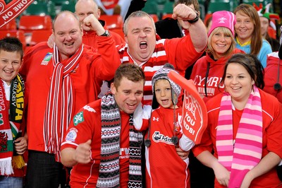 13.11.10 - Wales v South Africa - Invesco Perpetual Series 2010 - Wales fans. 