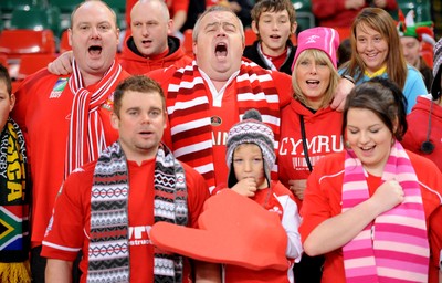 13.11.10 - Wales v South Africa - Invesco Perpetual Series 2010 - Wales fans. 