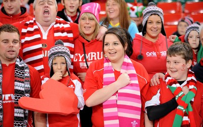 13.11.10 - Wales v South Africa - Invesco Perpetual Series 2010 - Wales fans. 