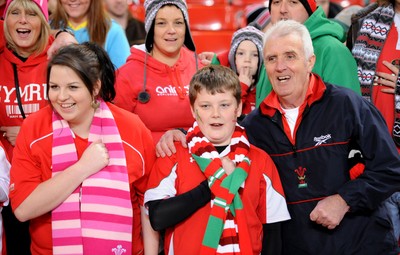 13.11.10 - Wales v South Africa - Invesco Perpetual Series 2010 - Wales fans. 