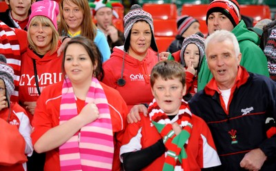 13.11.10 - Wales v South Africa - Invesco Perpetual Series 2010 - Wales fans. 