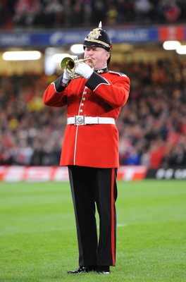 13.11.10 - Wales v South Africa - Invesco Perpetual Series 2010 - Bugler. 