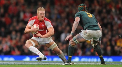 13.11.10 - Wales v South Africa - Invesco Perpetual Series 2010 - Andy Powell of Wales. 