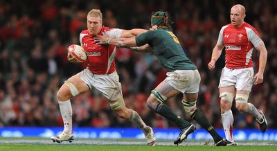 13.11.10 - Wales v South Africa - Invesco Perpetual Series 2010 - Andy Powell of Wales. 