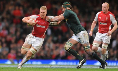 13.11.10 - Wales v South Africa - Invesco Perpetual Series 2010 - Andy Powell of Wales. 