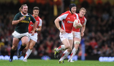 13.11.10 - Wales v South Africa - Invesco Perpetual Series 2010 - Tom Shanklin of Wales. 