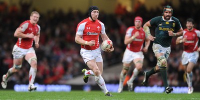 13.11.10 - Wales v South Africa - Invesco Perpetual Series 2010 - Tom Shanklin of Wales. 