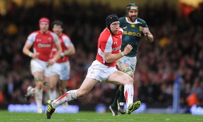 13.11.10 - Wales v South Africa - Invesco Perpetual Series 2010 - Tom Shanklin of Wales. 