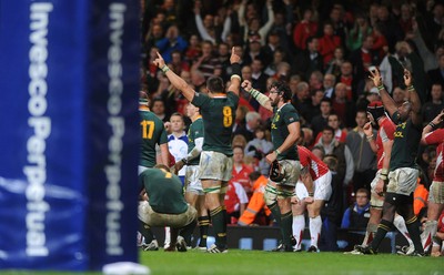 13.11.10 - Wales v South Africa - Invesco Perpetual Series 2010 - South Africa players celebrate win. 