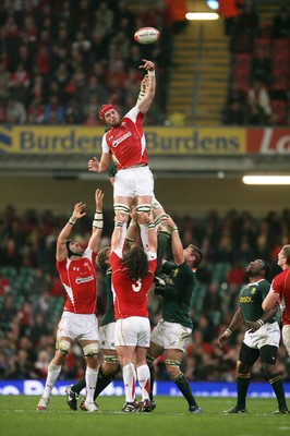 13.11.10 Wales v South Africa... Wales' Alun-Wyn Jones wins lineout ball. 