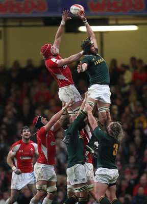 13.11.10 .. Wales v South Africa. -  Wales' Alun Wyn Jones and South Africa's Victor Matfield compete for the lineout ball 