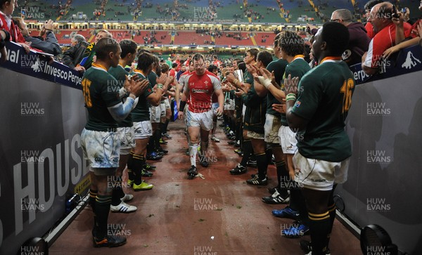 13.11.10 - Wales v South Africa - Invesco Perpetual Series 2010 - Matthew Rees of Wales looks dejected at the end of the game. 