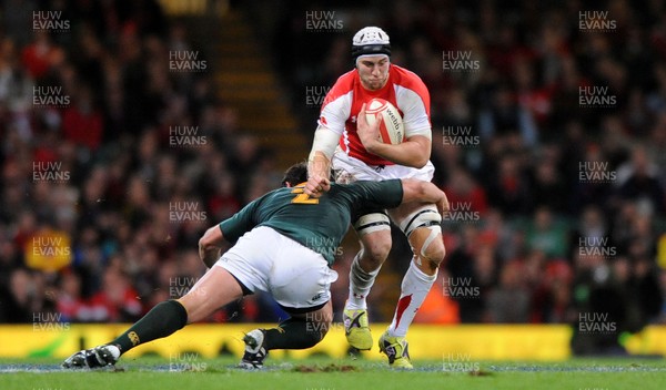 13.11.10 - Wales v South Africa - Invesco Perpetual Series 2010 - Ryan Jones of Wales. 