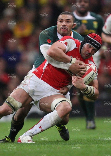 13.11.10 .. Wales v South Africa. -  Wales' Jonathan Thomas is held by South Africa's Bjorn Basson   