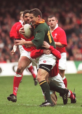 Wales v South Africa 151296