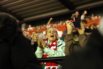 180926 - Wales Women v South Africa Women - Vodafone Wales WXV Series - Fans