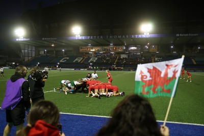 180926 - Wales Women v South Africa Women - Vodafone Wales WXV Series - Fans