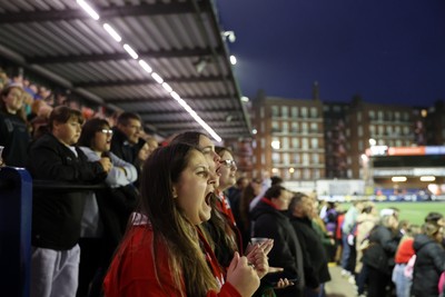 180926 - Wales Women v South Africa Women - Vodafone Wales WXV Series - Fans